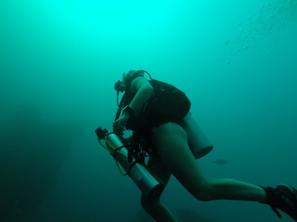 Grace Wa, PADI Open Water Scuba Instructor - Instructors, Instructor | Rainbow Reef Dive Center, Key Largo, Florida Keys image