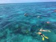 Monday August 13th 2018 Santana: Snapper Ledge reef report photo 1