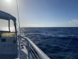 Thursday October 29th 2020 Tropical Adventure: USCGC Duane reef report photo 1