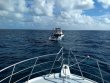 Saturday October 31st 2020 Tropical Adventure: USCGC Duane reef report photo 1