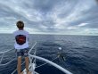Wednesday October 5th 2022 Tropical Adventure: USCGC Bibb reef report photo 1