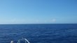 Friday July 17th 2015 Tropical Adventure: USCGC Duane reef report photo 1