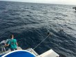 Sunday March 27th 2016 Tropical Adventure: Spiegel Grove reef report photo 1