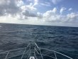 Tuesday July 5th 2016 Tropical Adventure: Snapper Ledge reef report photo 1