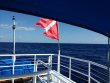 Monday February 20th 2017 Tropical Adventure: USCGC Duane reef report photo 1