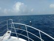 Thursday April 6th 2017 Tropical Adventure: Spiegel Grove reef report photo 1