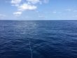 Wednesday May 10th 2017 Tropical Adventure: USCGC Duane reef report photo 1