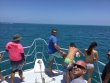 Saturday May 27th 2017 Tropical Adventure: Spiegel Grove reef report photo 1