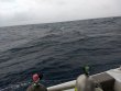 Saturday May 19th 2018 Tropical Adventure: USCGC Duane reef report photo 1