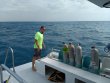 Wednesday May 30th 2018 Tropical Adventure: Pickles Reef reef report photo 1