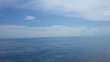 Thursday September 11th 2014 Tropical Adventure: Snapper Ledge reef report photo 1