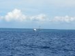 Monday October 6th 2014 Tropical Adventure: USCGC Duane reef report photo 1