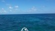 Saturday October 11th 2014 Tropical Adventure: Conch Pillars reef report photo 1