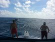 Monday October 13th 2014 Tropical Adventure: USCGC Duane reef report photo 1