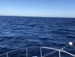 Sunday December 27th 2020 Tropical Destiny: USCGC Duane reef report photo 1