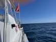 Sunday May 2nd 2021 Tropical Destiny: Spiegel Grove reef report photo 2