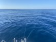 Sunday October 17th 2021 Tropical Destiny: USCGC Duane reef report photo 1