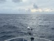 Friday October 22nd 2021 Tropical Destiny: Spiegel Grove reef report photo 1