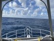 Friday August 5th 2022 Tropical Destiny: Spiegel Grove reef report photo 1