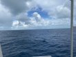 Friday August 5th 2022 Tropical Destiny: Spiegel Grove reef report photo 2