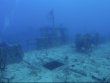 Friday August 12th 2022 Tropical Destiny: Spiegel Grove reef report photo 1