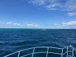 Friday October 7th 2022 Tropical Destiny: Spanish Anchor reef report photo 1