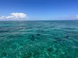 Sunday September 10th 2023 Tropical Destiny: Pickle Barrel Wreck reef report photo 1