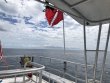 Thursday July 12th 2018 Tropical Destiny: USCGC Duane reef report photo 1