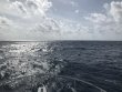 Friday August 31st 2018 Tropical Destiny: Spiegel Grove reef report photo 1