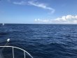 Saturday October 27th 2018 Tropical Destiny: USCGC Duane reef report photo 1