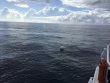 Friday August 30th 2019 Tropical Destiny: Spiegel Grove reef report photo 1