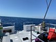 Saturday March 20th 2021 Tropical Explorer: Spiegel Grove reef report photo 1