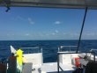 Wednesday April 13th 2016 Tropical Explorer: Spiegel Grove reef report photo 1