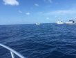 Friday April 29th 2016 Tropical Explorer: Spiegel Grove reef report photo 1
