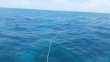 Saturday July 30th 2016 Tropical Explorer: Snapper Ledge reef report photo 1