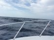 Friday September 2nd 2016 Tropical Explorer: USCGC Duane reef report photo 1