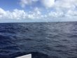 Monday July 3rd 2017 Tropical Explorer: Drift Molasses reef report photo 1