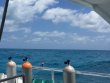 Friday March 30th 2018 Tropical Explorer: Snapper Ledge reef report photo 1