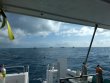 Saturday April 14th 2018 Tropical Explorer: Spiegel Grove reef report photo 1