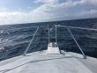 Sunday April 22nd 2018 Tropical Explorer: Spiegel Grove reef report photo 1