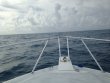 Thursday May 24th 2018 Tropical Explorer: USCGC Bibb reef report photo 1