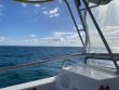 Friday February 5th 2021 Tropical Legend: Pickles Reef reef report photo 1