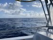 Friday February 12th 2021 Tropical Legend: Spiegel Grove reef report photo 1