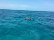 Saturday April 2nd 2016 Tropical Legend: Snapper Ledge reef report photo 1