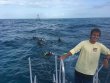 Thursday December 1st 2016 Tropical Legend: Eagle Ray Alley reef report photo 1