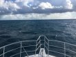 Friday October 20th 2017 Tropical Legend: Pickles Reef reef report photo 1