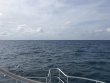 Friday June 1st 2018 Tropical Legend: Snapper Ledge reef report photo 1