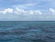 Friday June 1st 2018 Tropical Legend: Pickles Reef reef report photo 1
