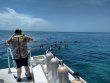 Sunday July 8th 2018 Tropical Legend: Snapper Ledge reef report photo 1
