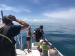 Sunday July 15th 2018 Tropical Legend: Pickles Reef reef report photo 1
